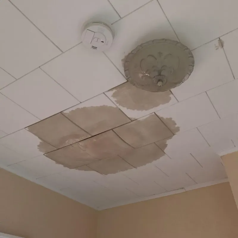 Ceiling Water Damage Repair in Vermillion, SD