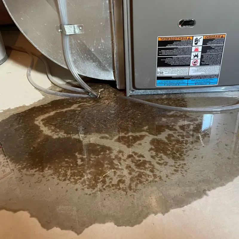 Pipe Burst and Leak Restoration in Vermillion, SD